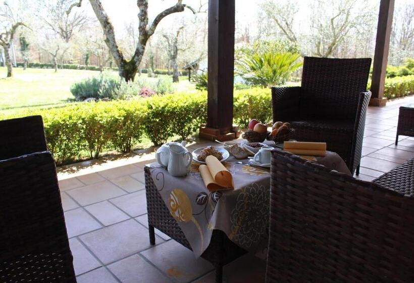 Отель Agriturismo Il Castagneto