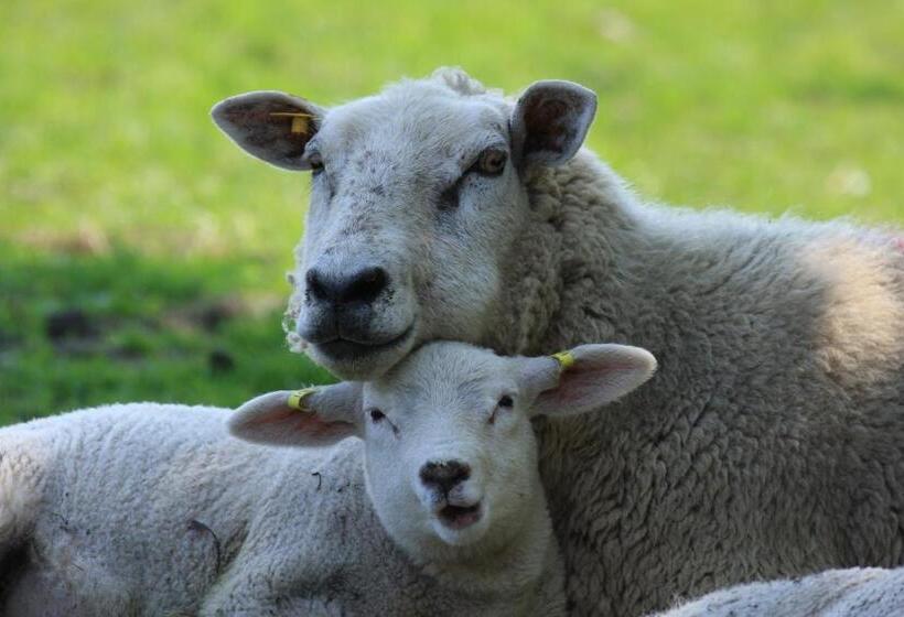 مبيت وإفطار T Lant Van Texsel