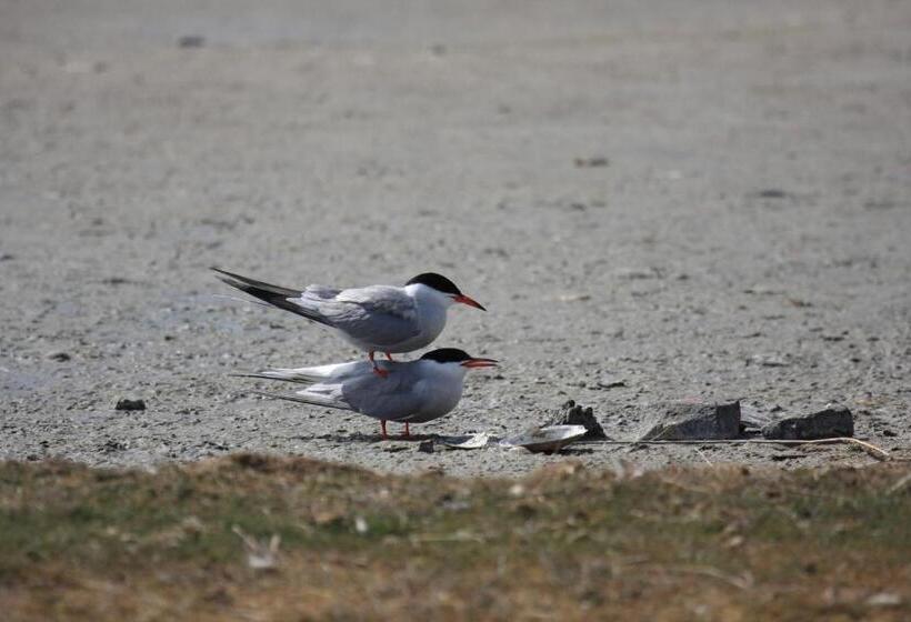 مبيت وإفطار T Lant Van Texsel