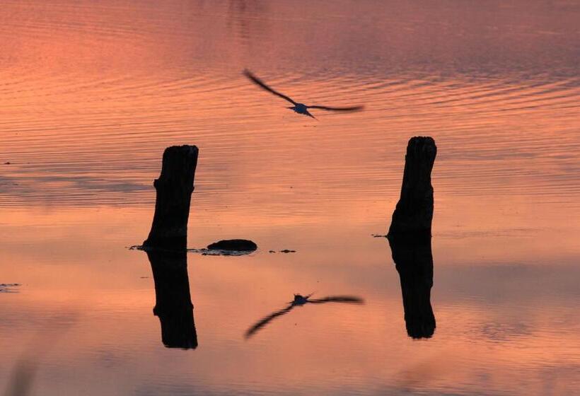 مبيت وإفطار T Lant Van Texsel