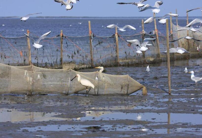 مبيت وإفطار T Lant Van Texsel