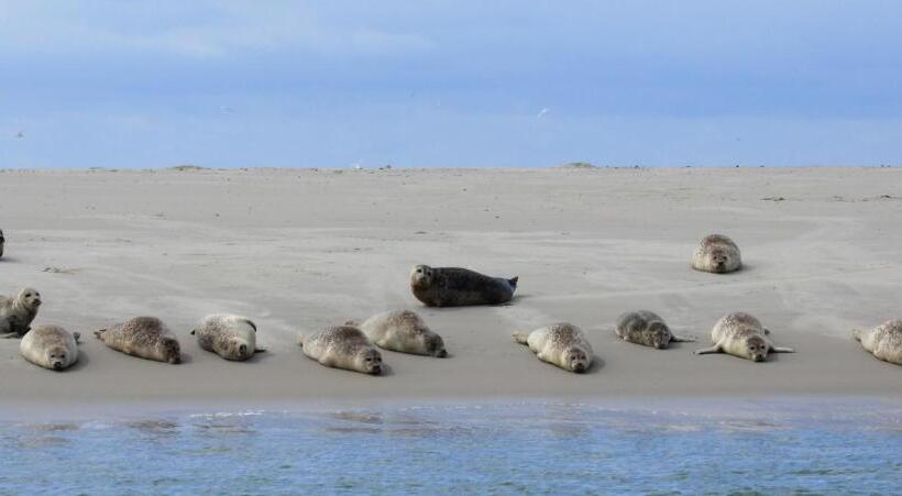 مبيت وإفطار T Lant Van Texsel