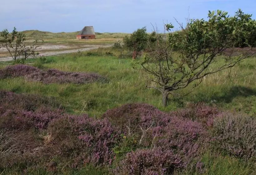 Aamiaismajoitus (B&B) T Lant Van Texsel
