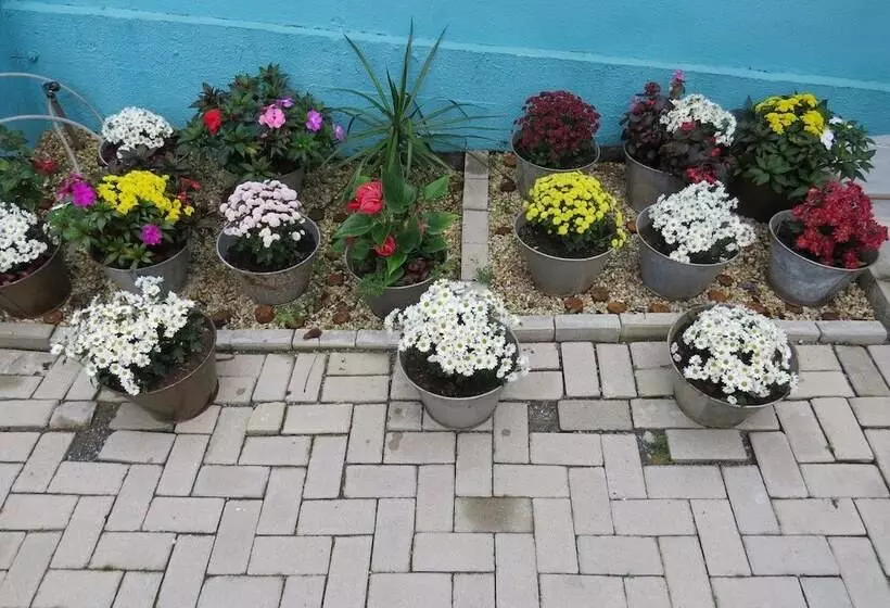 ペンション Pousada Do Russo Blumenau