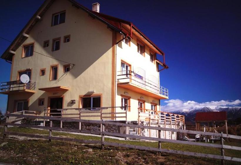 Pensiunea Pui De Urs Sirnea