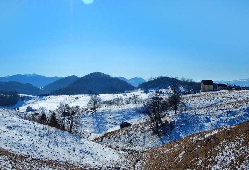 Pensiunea Pui De Urs Sirnea