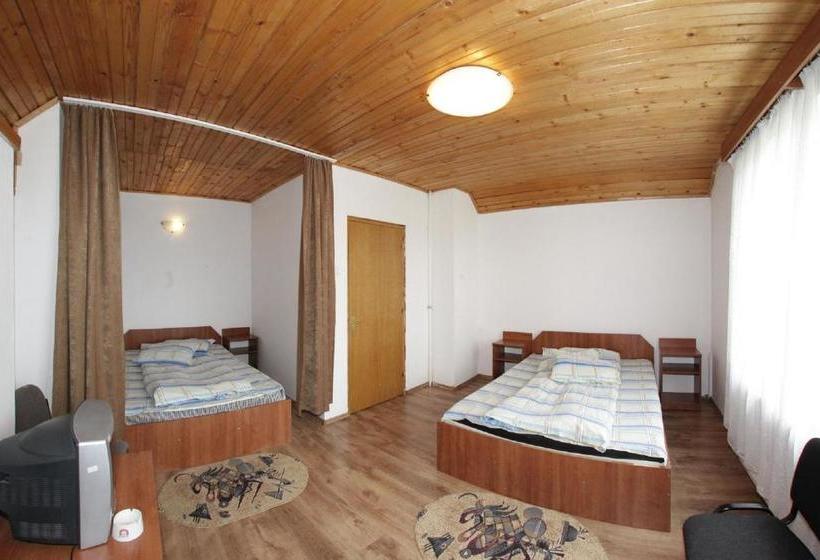 Pensiunea Pui De Urs Sirnea