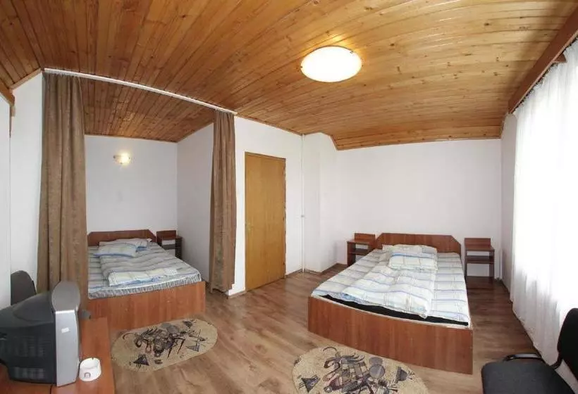 Pensiunea Pui De Urs Sirnea