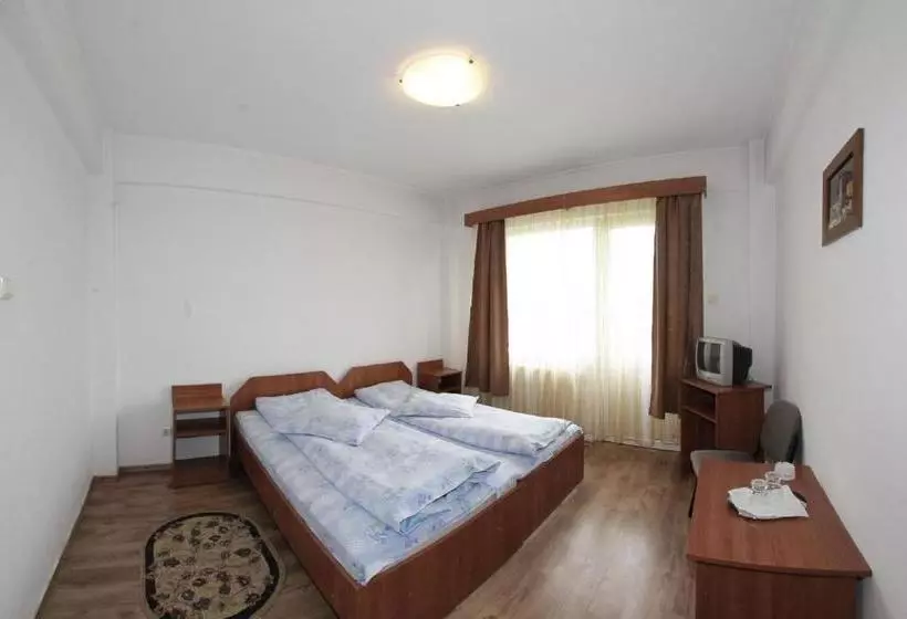 Pensiunea Pui De Urs Sirnea