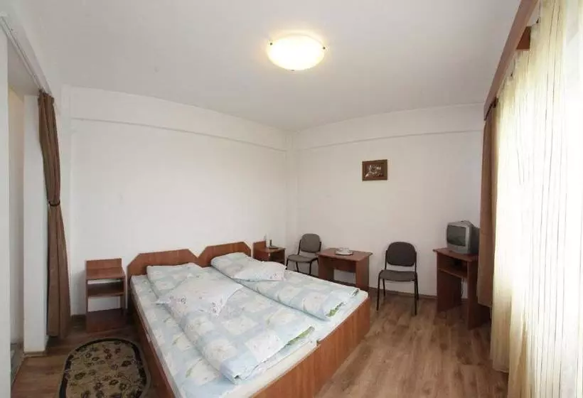 Pensiunea Pui De Urs Sirnea