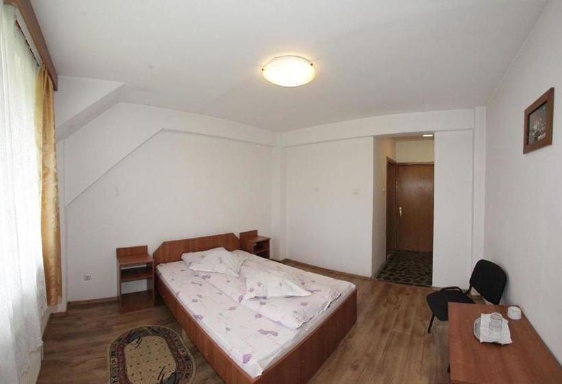 Pensiunea Pui De Urs Sirnea