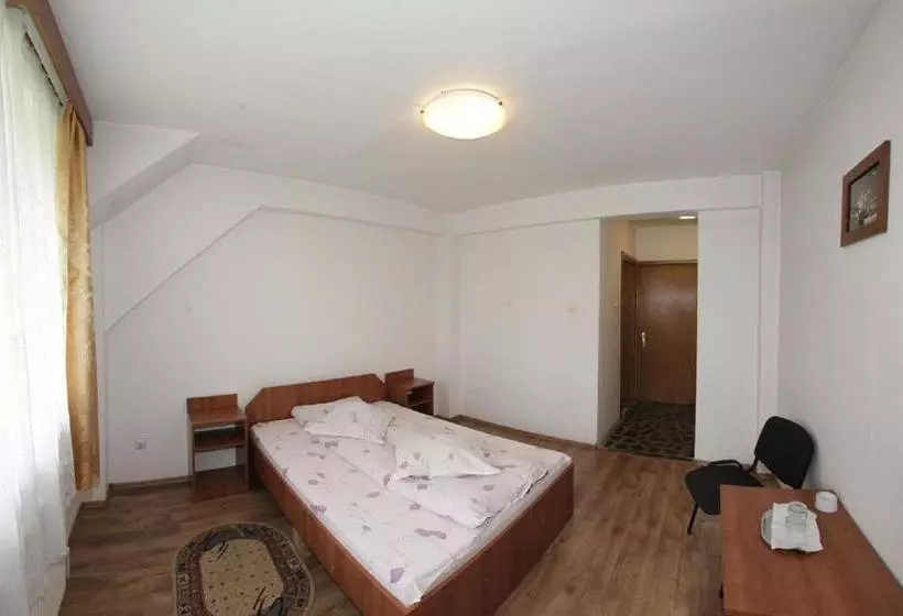 Pensiunea Pui De Urs Sirnea