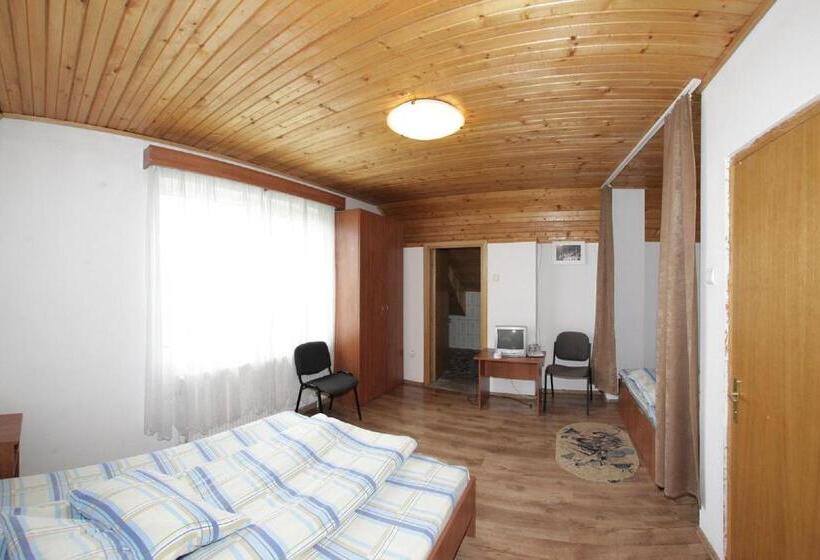 Pensiunea Pui De Urs Sirnea