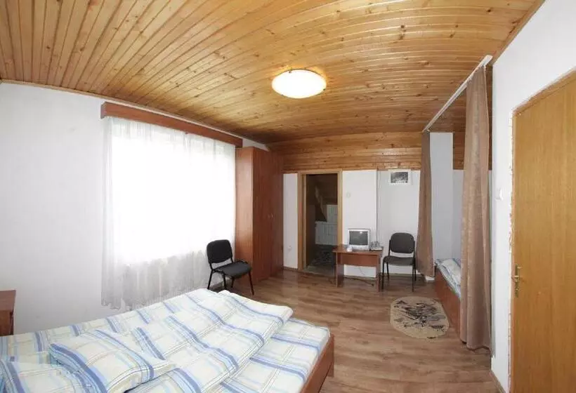 Pensiunea Pui De Urs Sirnea