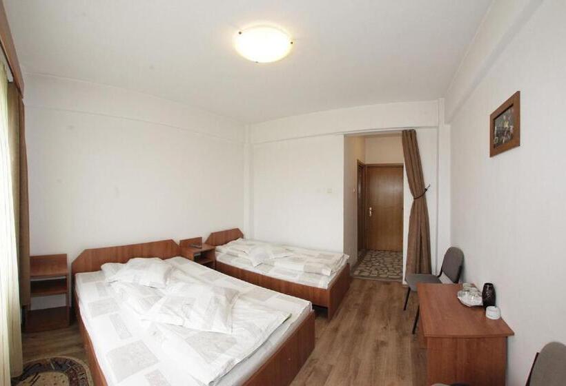 Pensiunea Pui De Urs Sirnea