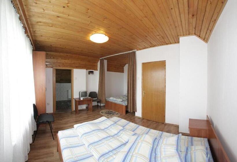 Pensiunea Pui De Urs Sirnea