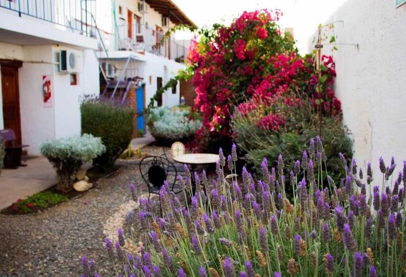 فندق صغير Divina Presencia