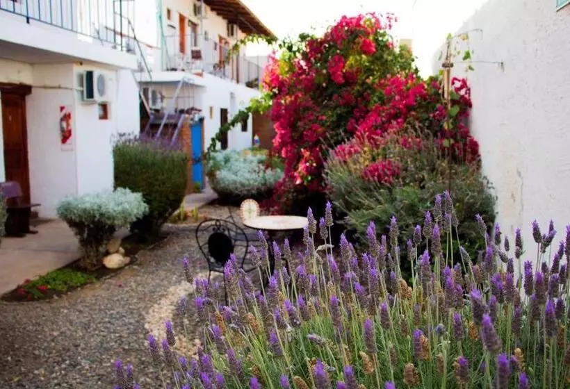 Retkeilymaja Divina Presencia