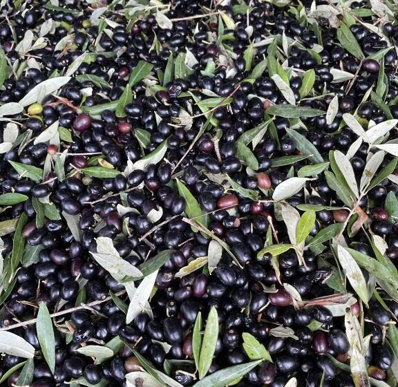 هتل Agriturismo Pietramora