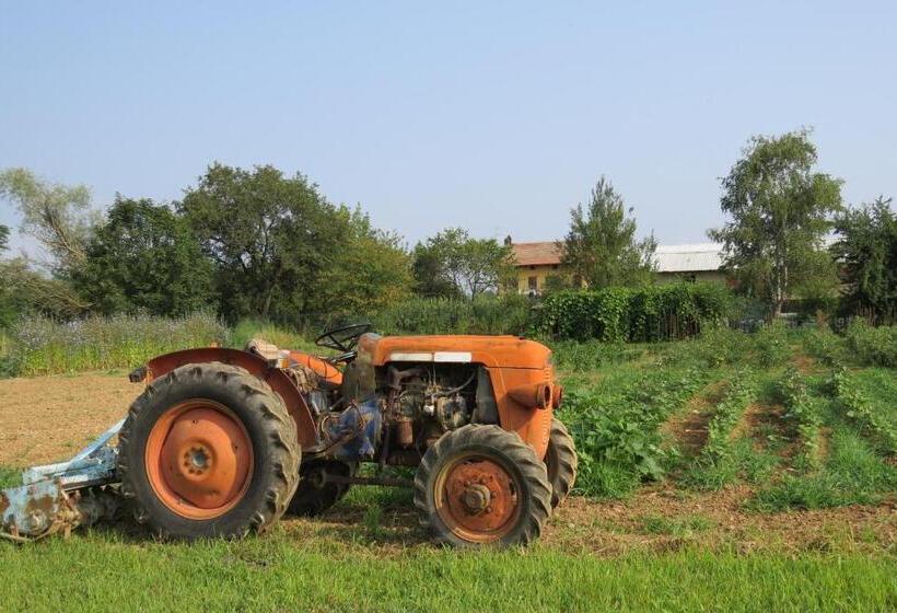 ホテル Fattoria Delle Rose