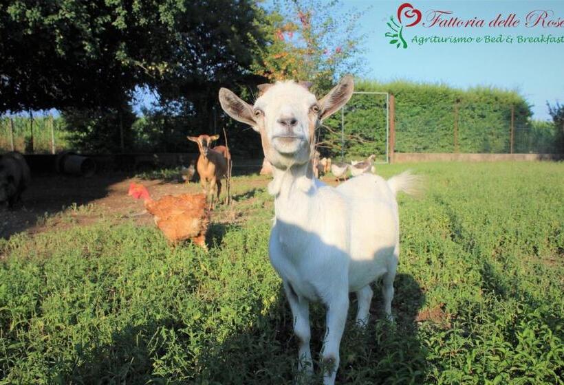 ホテル Fattoria Delle Rose