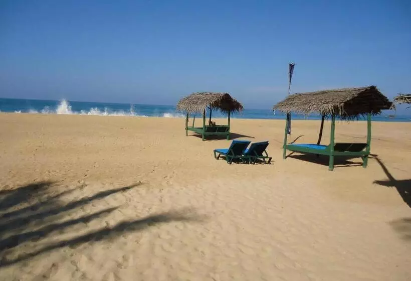 ペンション Whitepearl Beach