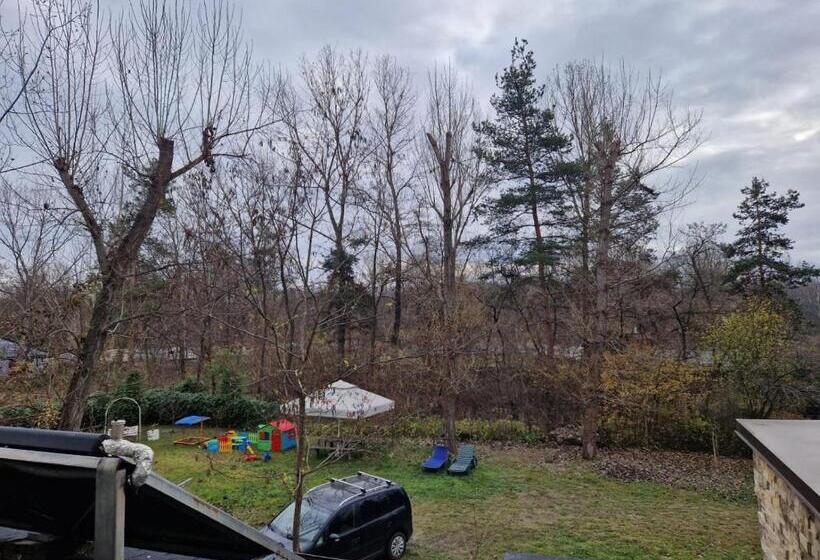 Pensiunea Carpe Diem