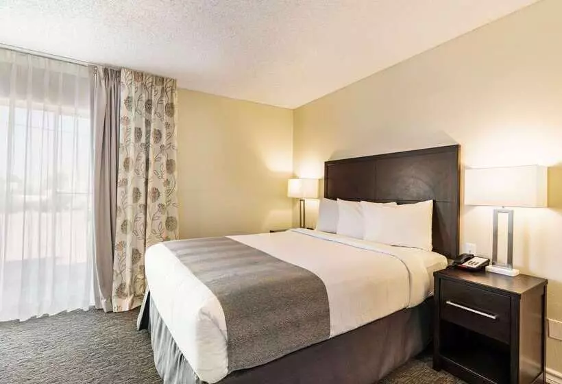 בית מלון כפרי Chase Suite  El Paso