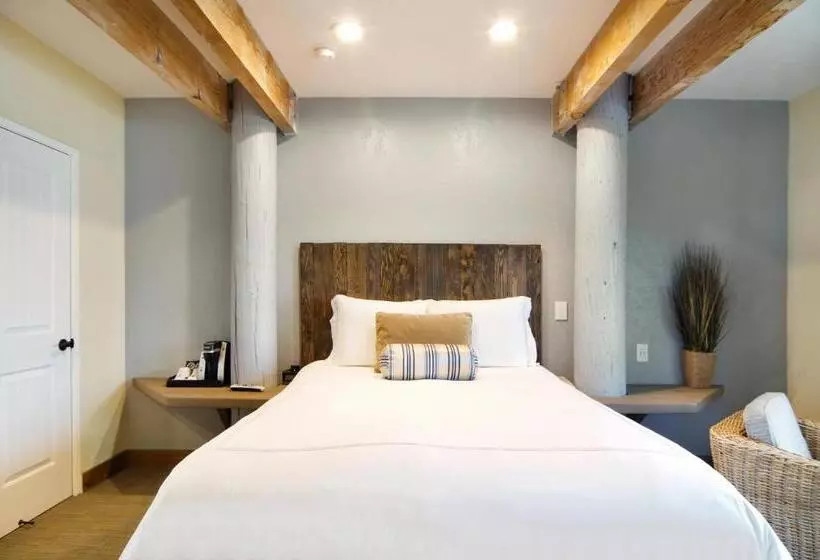 ホテル Cypress Inn On Miramar Beach