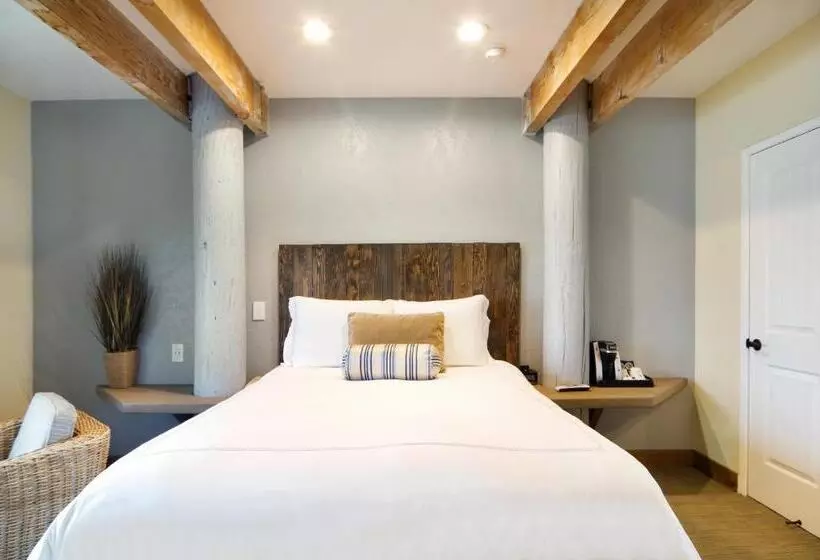 ホテル Cypress Inn On Miramar Beach