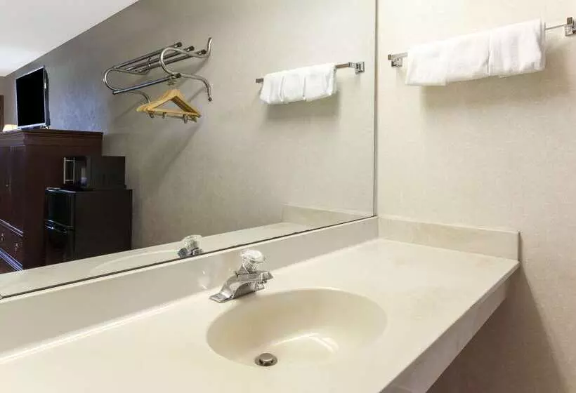 Hotel Days Inn By Wyndham Maumee/toledo