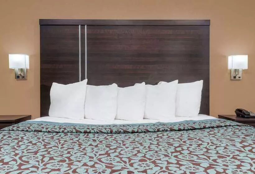 Hotel Days Inn By Wyndham Maumee/toledo