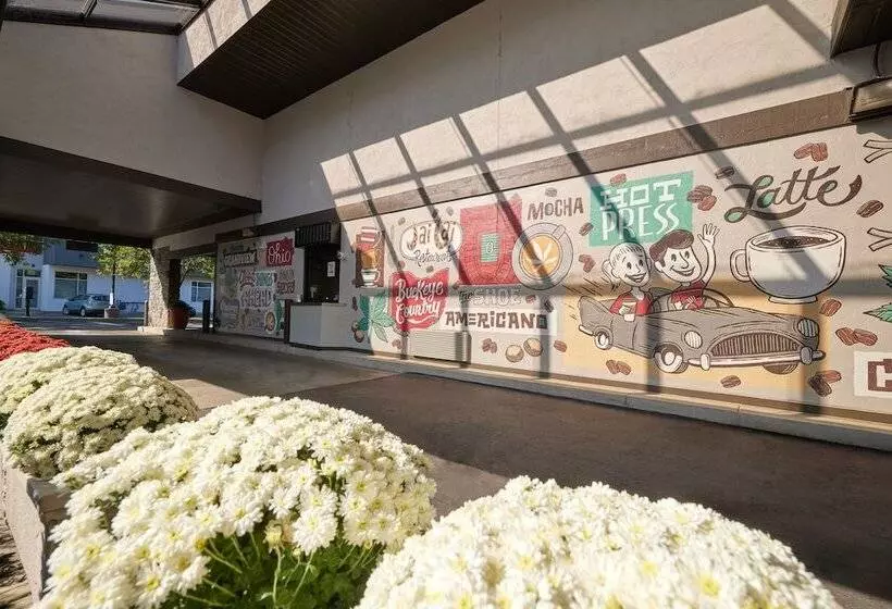 Отель Olentangy Motor Inn