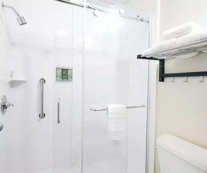 Отель Olentangy Motor Inn