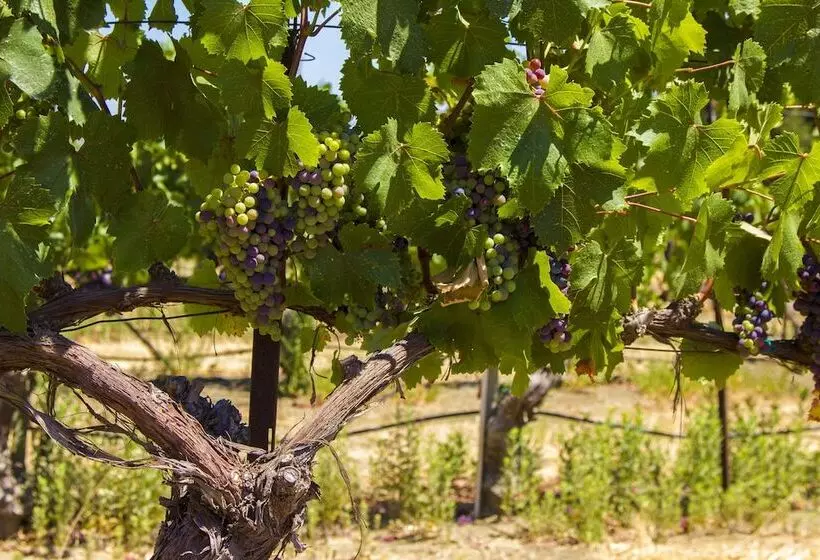 Vinland Hotel And Lounge