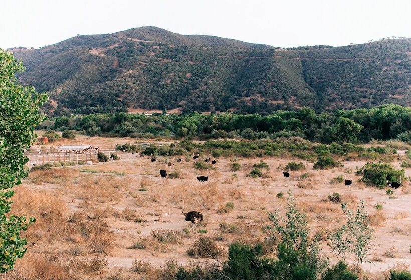 Vinland Hotel And Lounge