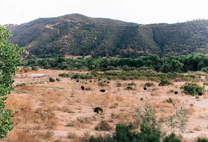 Vinland Hotel And Lounge