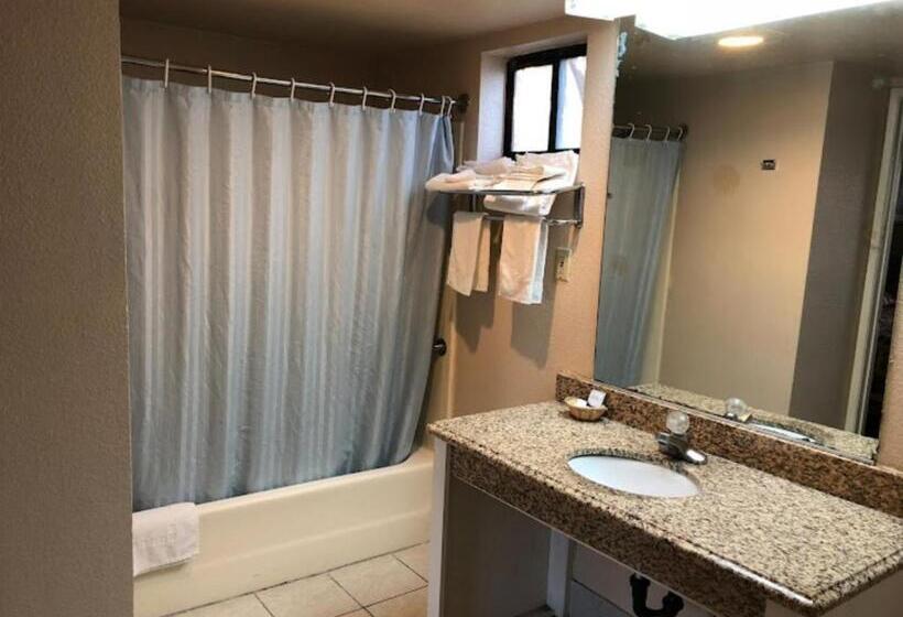 فندق على الطريق San Jacinto Inn