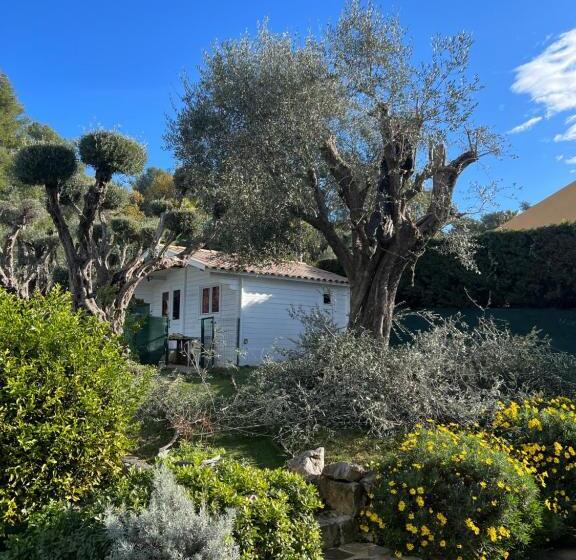 مسافرخانه Le Mas Rescator