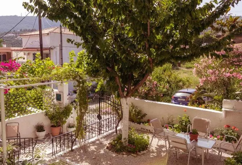 ホテル Alexandra S House