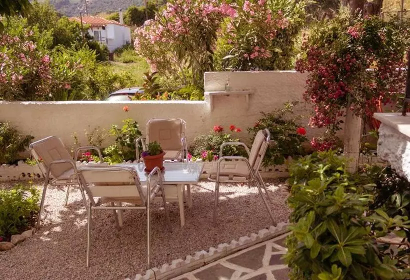 ホテル Alexandra S House