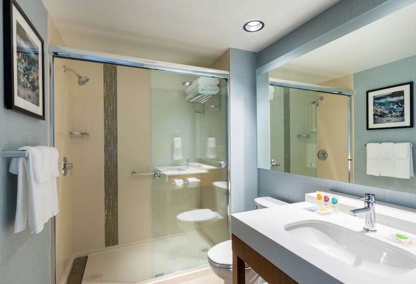 هتل Hyatt Place Atlanta Centennial Park