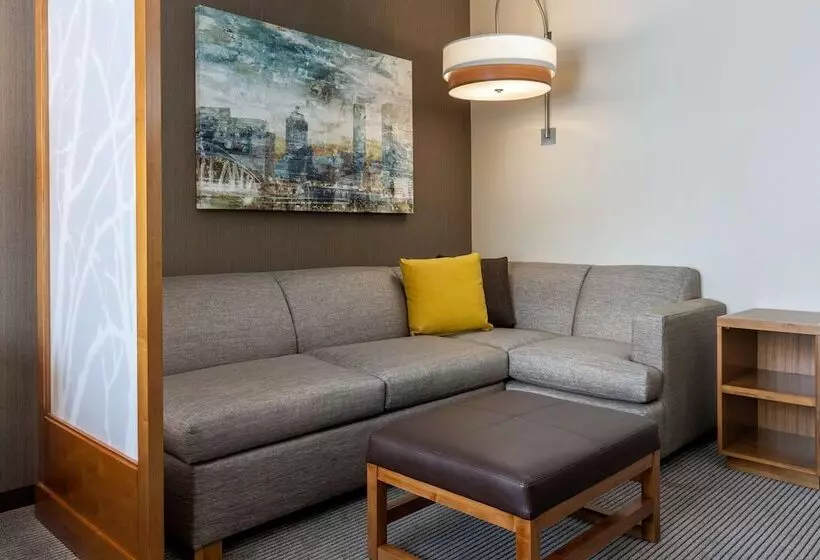 هتل Hyatt Place Atlanta Centennial Park