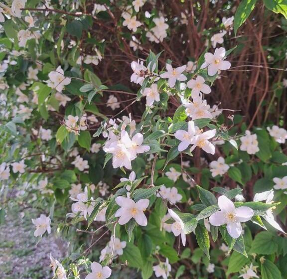 بنسيون ágnes Pihenőház