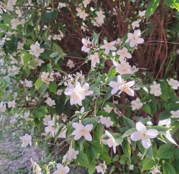 ペンション ágnes Pihenőház