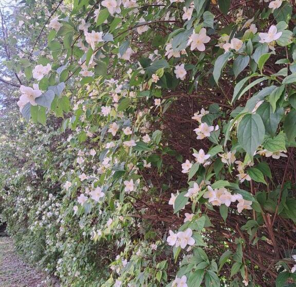 بنسيون ágnes Pihenőház