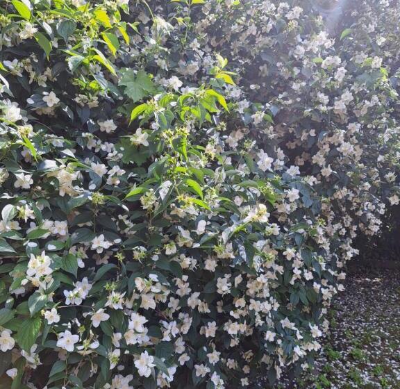 بنسيون ágnes Pihenőház