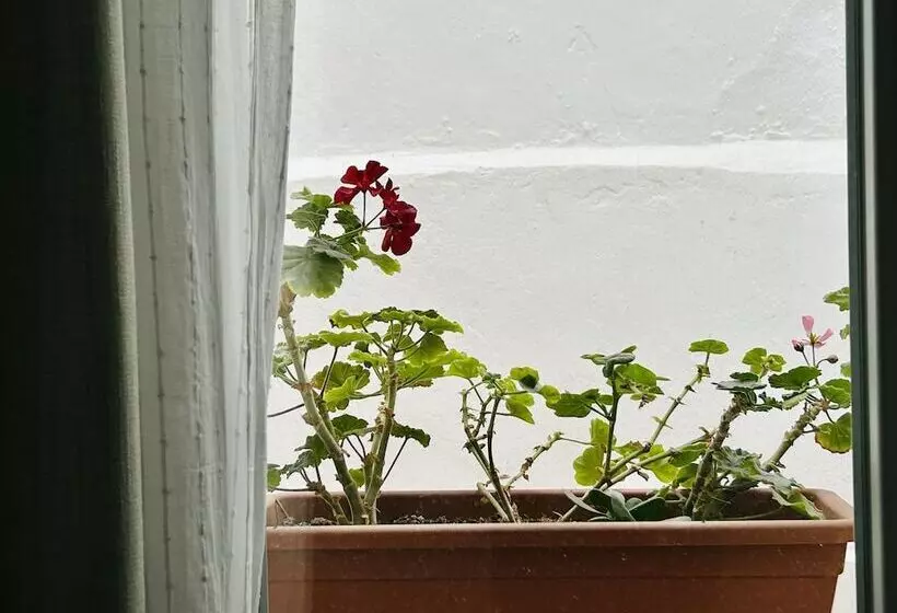 ペンション Las Brisas Estepona