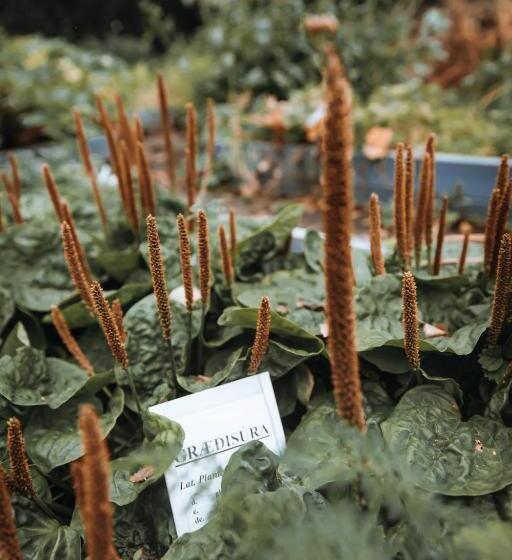 استراحتگاه Skalholt