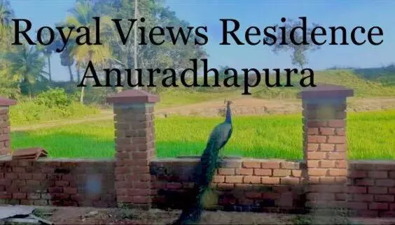 پانسیون Royal Views Residence